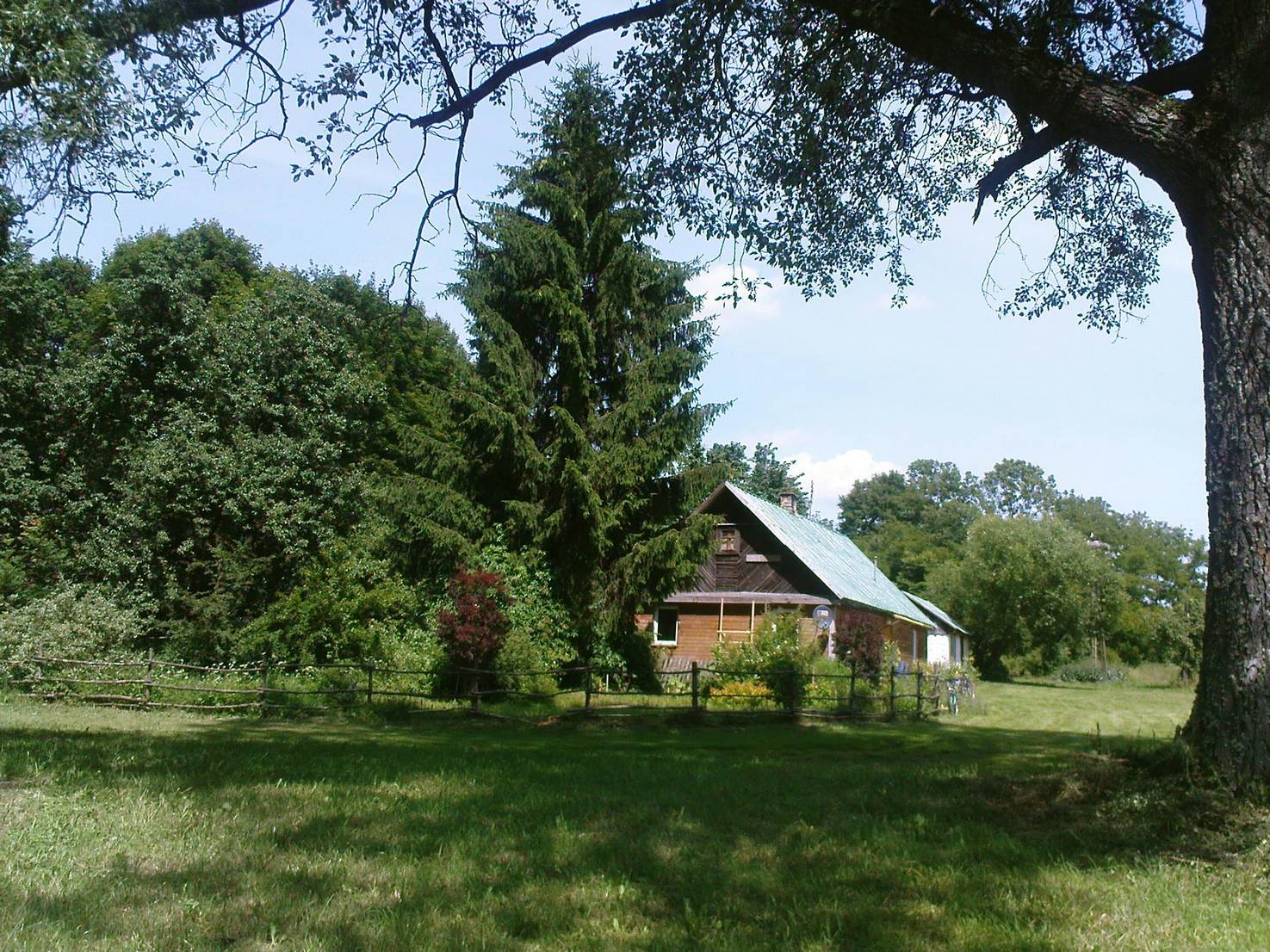 Ludomirowo dom i drzewa  2014